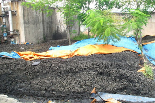 Bùn thải được sử dụng làm phân bón cho cây
